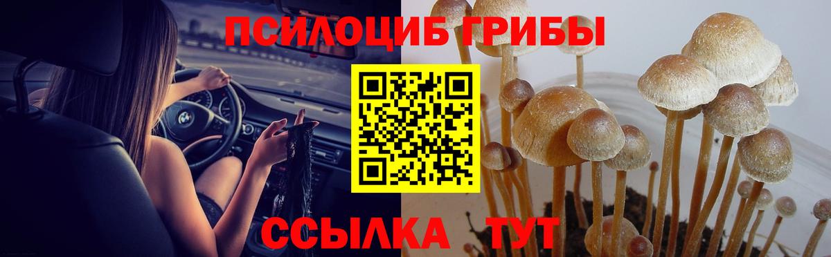 Конаково  закладка  Вход с VPN  Псилоцибиновые грибы Cubensis  Галлюциногенные грибы Psilocybine cubensis 